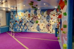 Commercial Construction Colorado - Indoor Rock Climbing