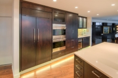 Colorado Springs Modern Contemporary Kitchen Cabinets, Pantry, & Fridge